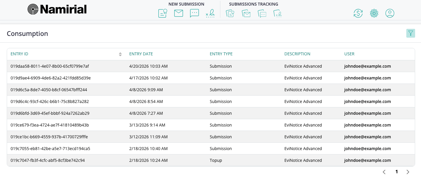 Consumption history screen showing the movement list and balance-related columns for voucher and submission tracking